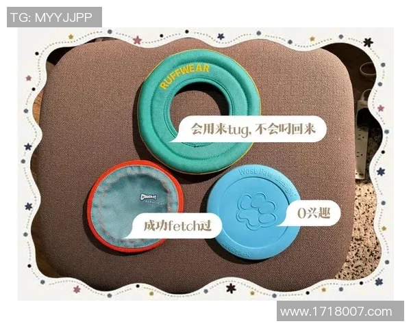 飞盘新手必看：轻松掌握节奏与技巧的全面入门指南