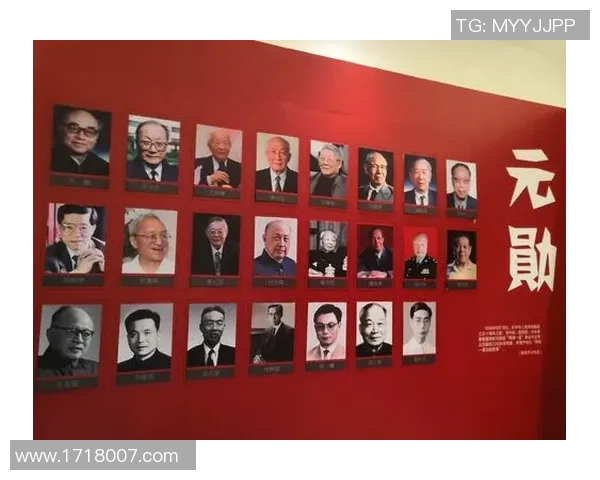 深度对话：探索陈静在网球世界中的奋斗与成长历程